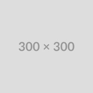 Premium quality images showcasing craftsmanship and attention to detail.